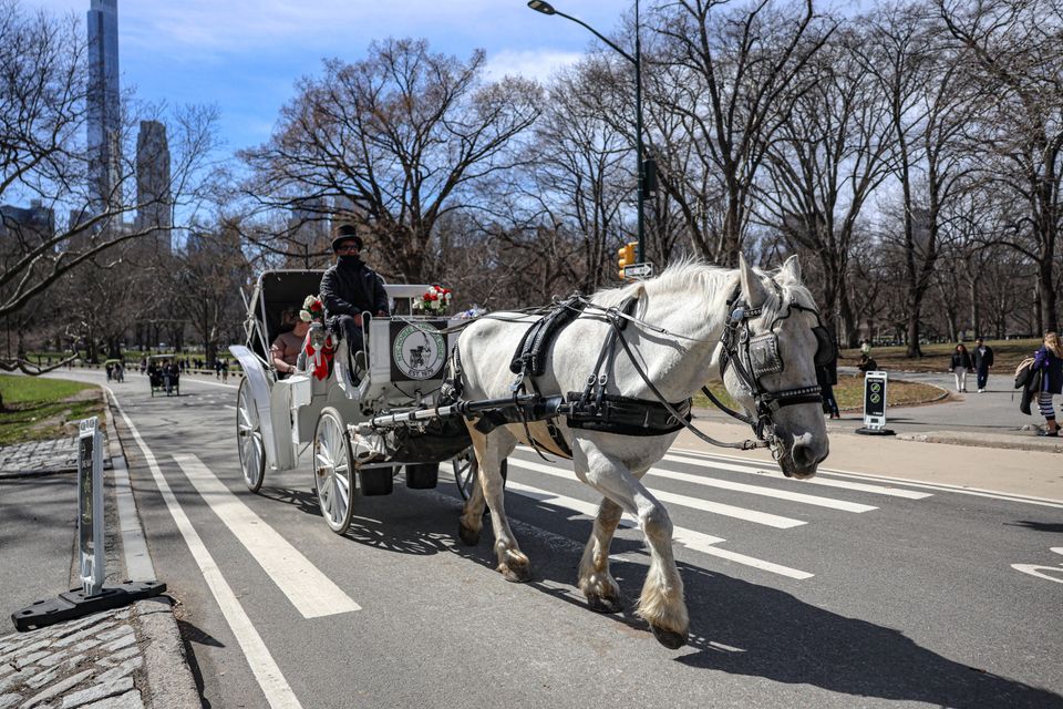 Das Ende der Pferdekutschen im Central Park?