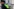 Neues Polizeigesetz in Schleswig-Holstein: Kontroversen und Kritik