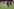 SC Paderborn als Bundesliga-Botschafter in den USA
