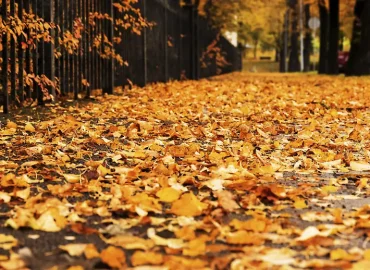 Änderungen im Oktober für Verbraucher