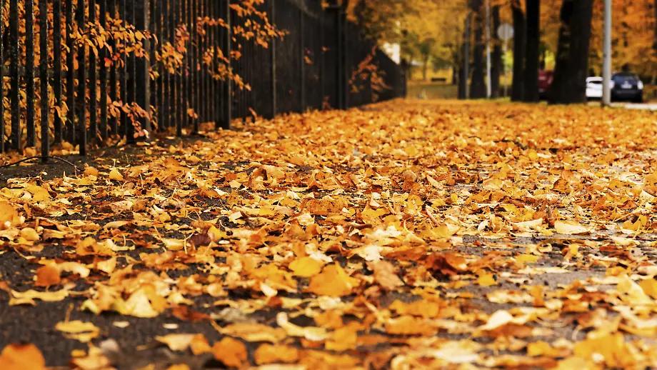 Änderungen im Oktober für Verbraucher