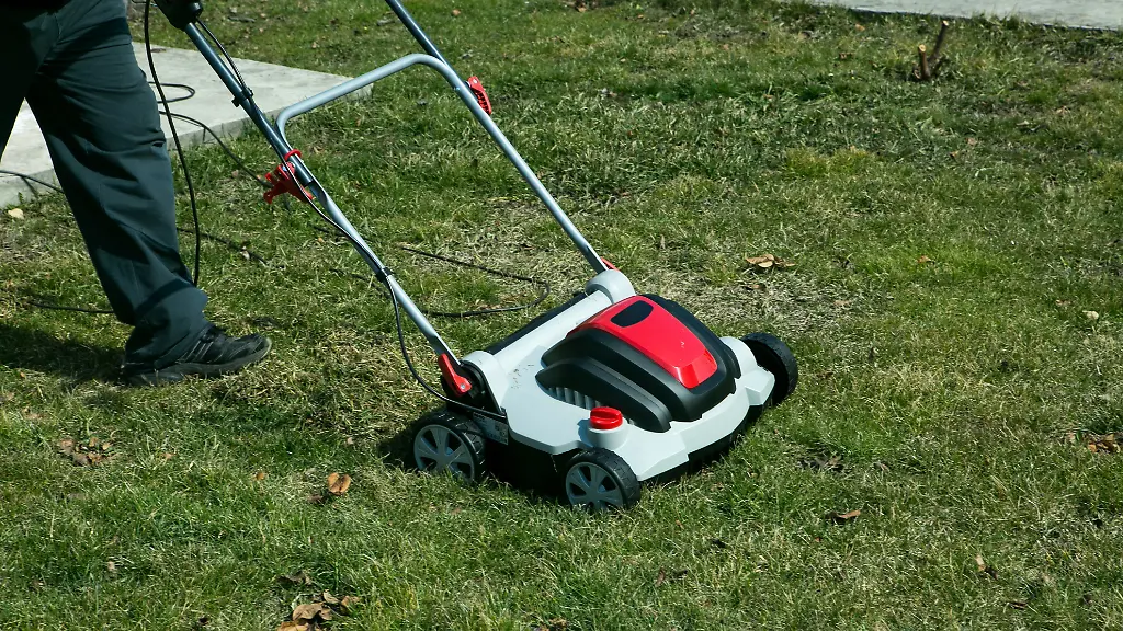 Rasenpflege im Herbst: Richtig vertikutieren