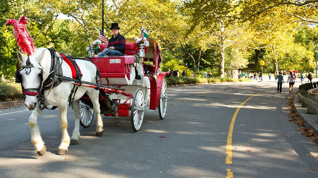 Verbot von Pferdekutschen im Central Park in Sicht