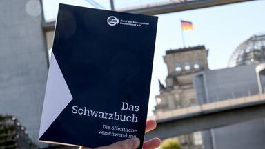 Schwarzbuch: Fälle von Steuerverschwendung